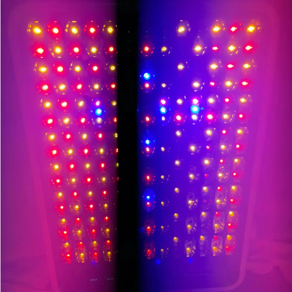 如何防止在大排燈踩坑？有什么好用的大排燈品牌值得購買么